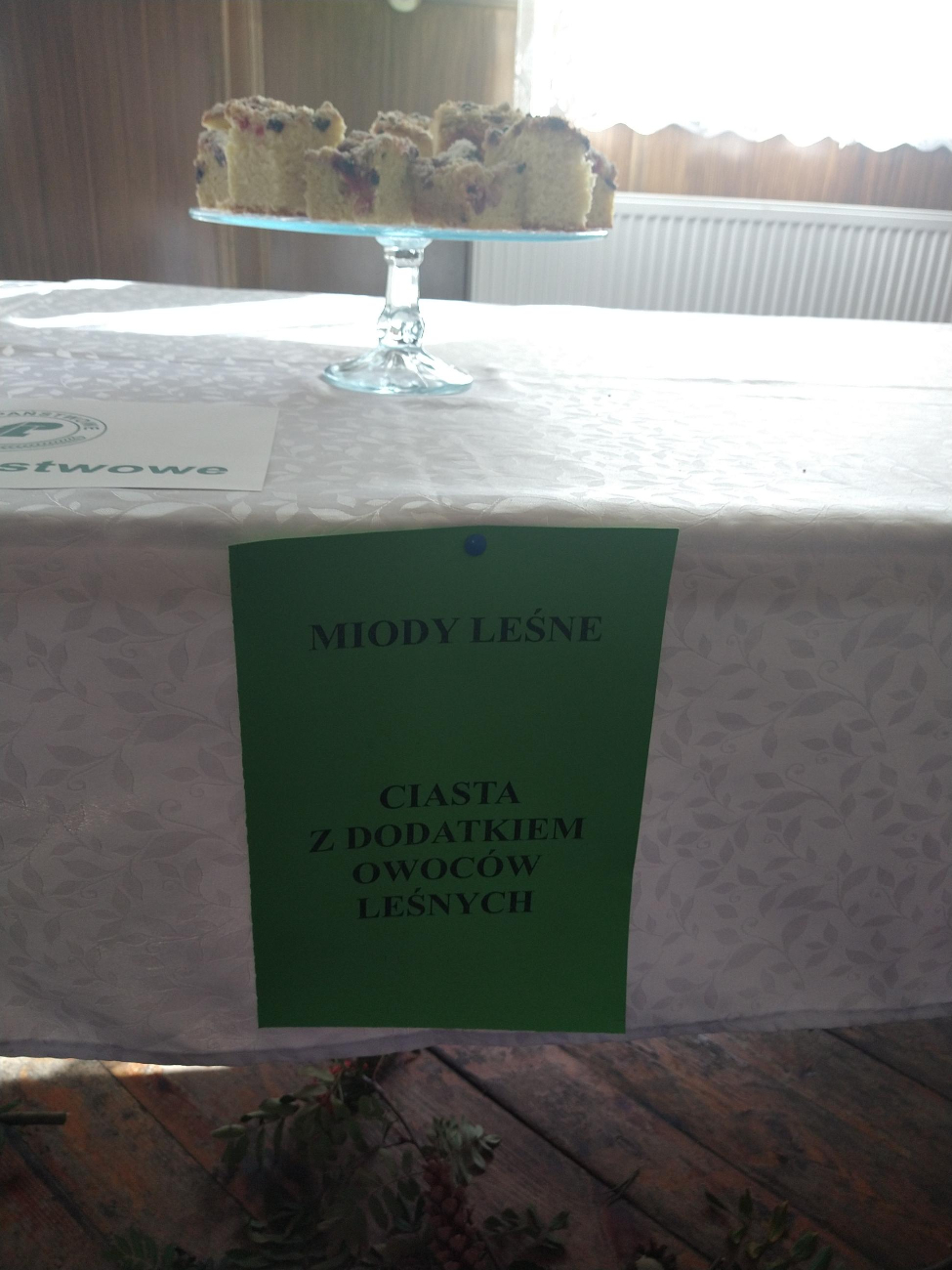 Dzik atrakcją w Marcewku