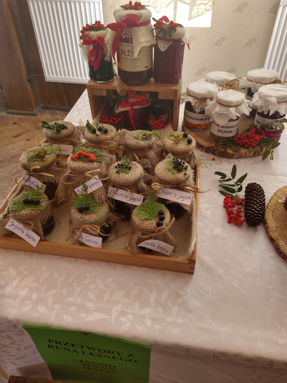 Dzik atrakcją w Marcewku