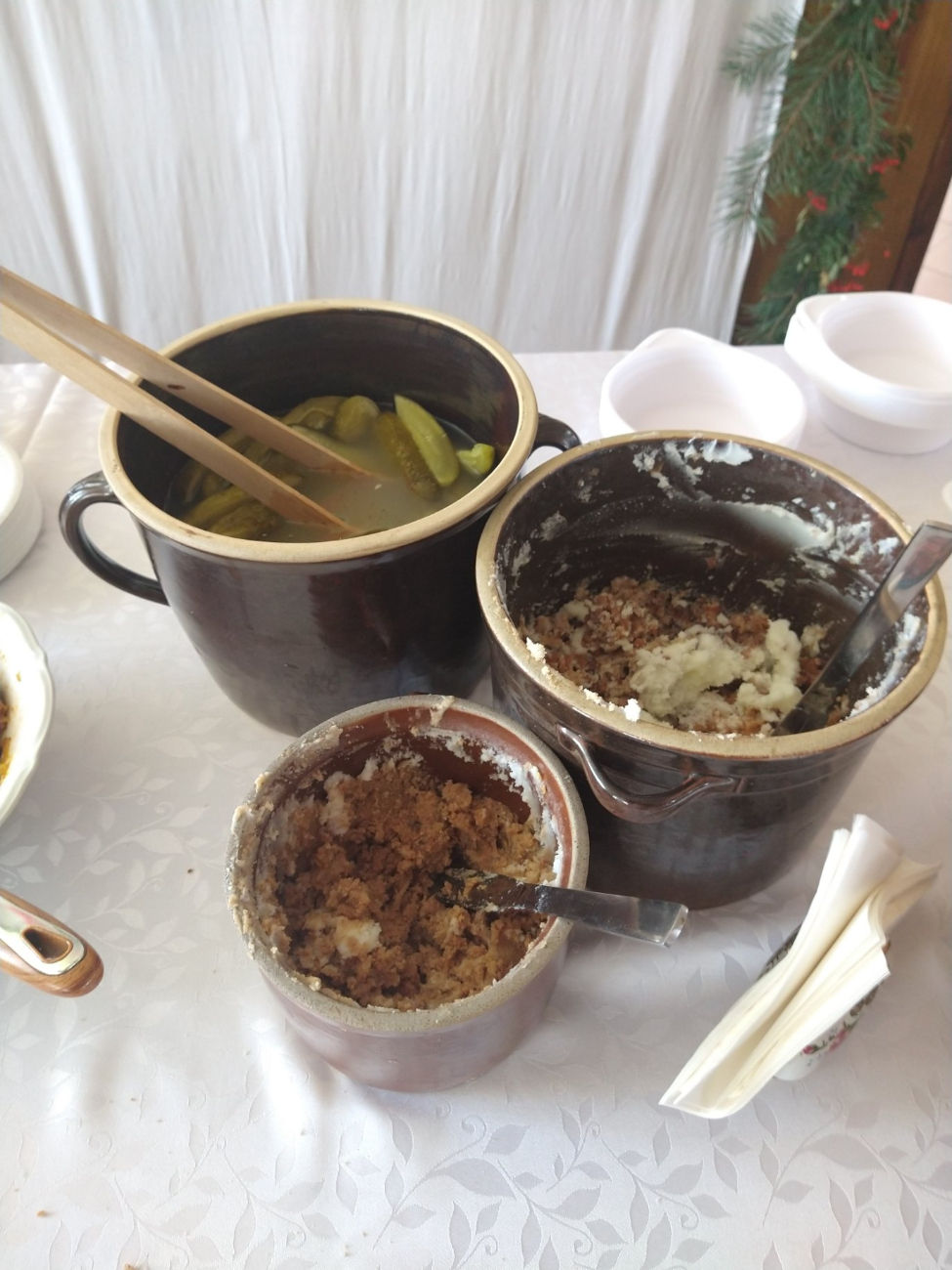 Dzik atrakcją w Marcewku