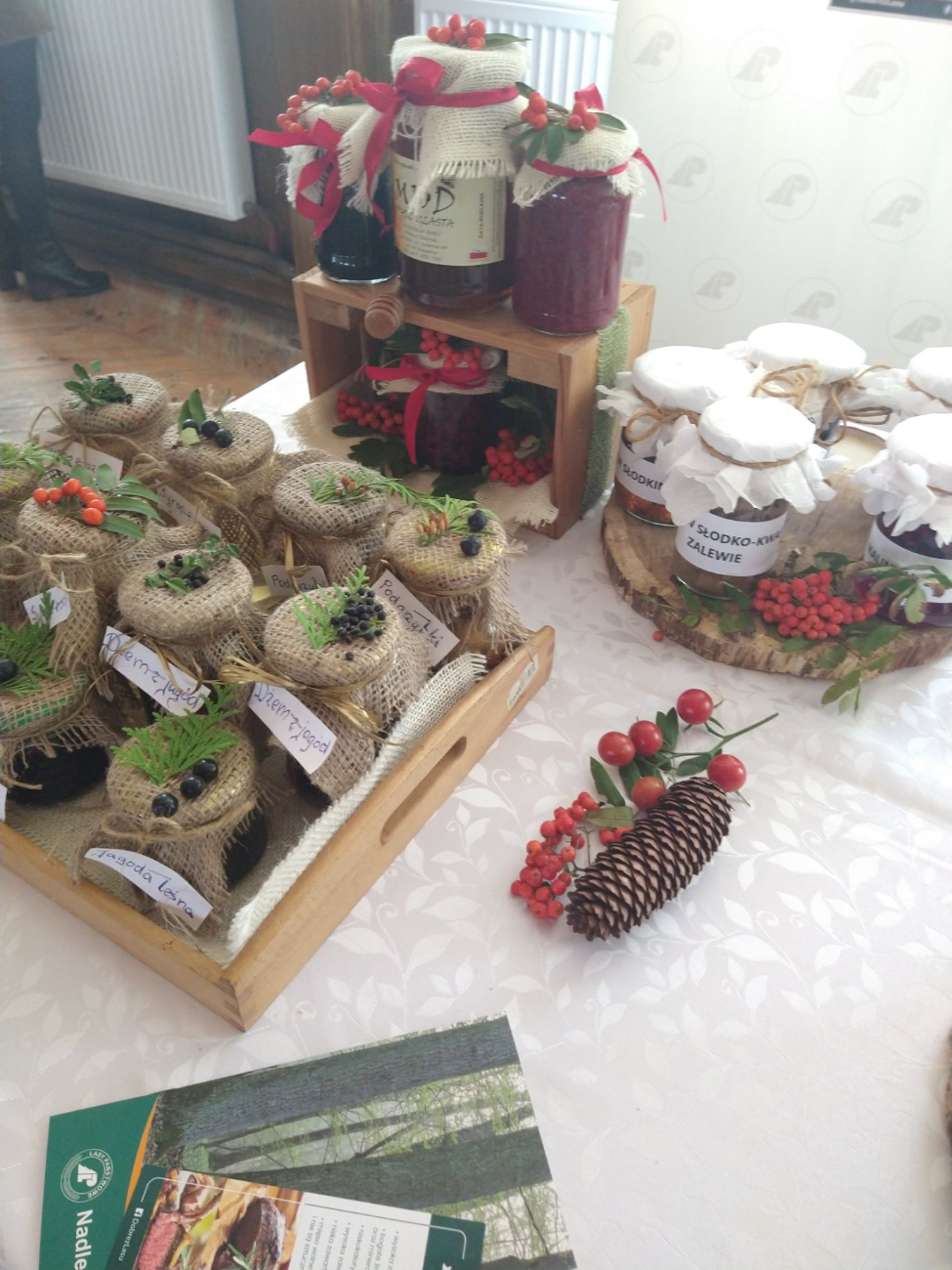 Dzik atrakcją w Marcewku