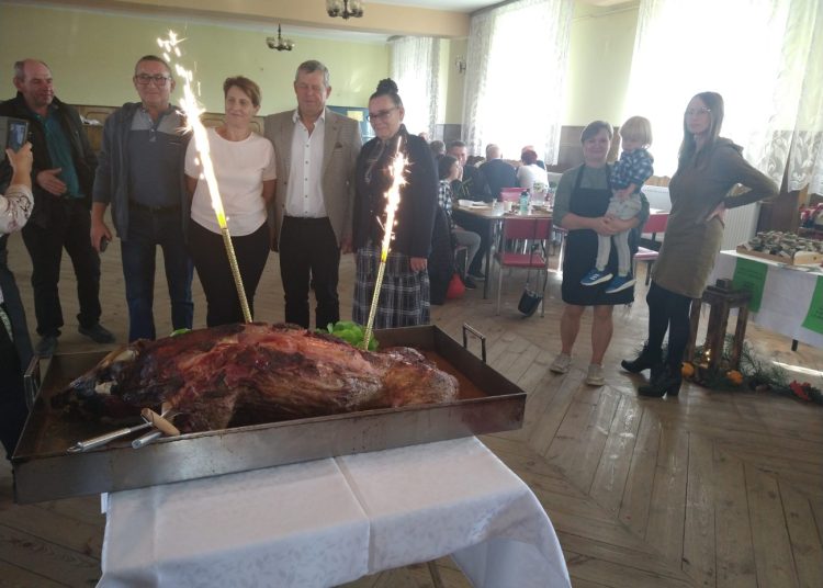 Dzik atrakcją w Marcewku