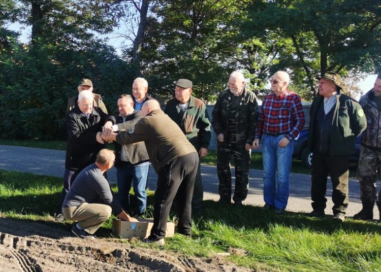 Kuropatwy trafiły do dziesięciu kół