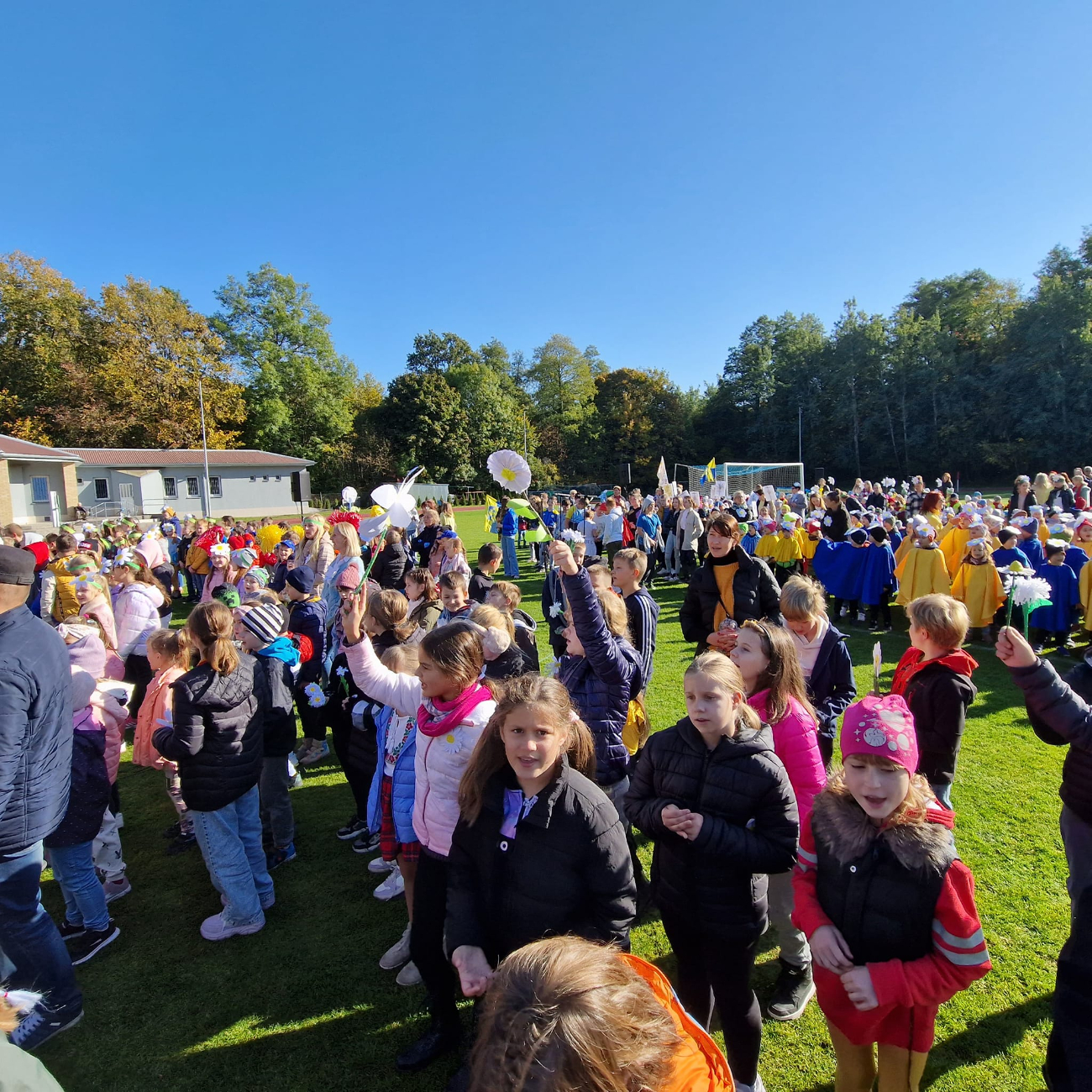 Takiego wykonania Stokrotki jeszcze nie słyszałeś. Posłuchaj