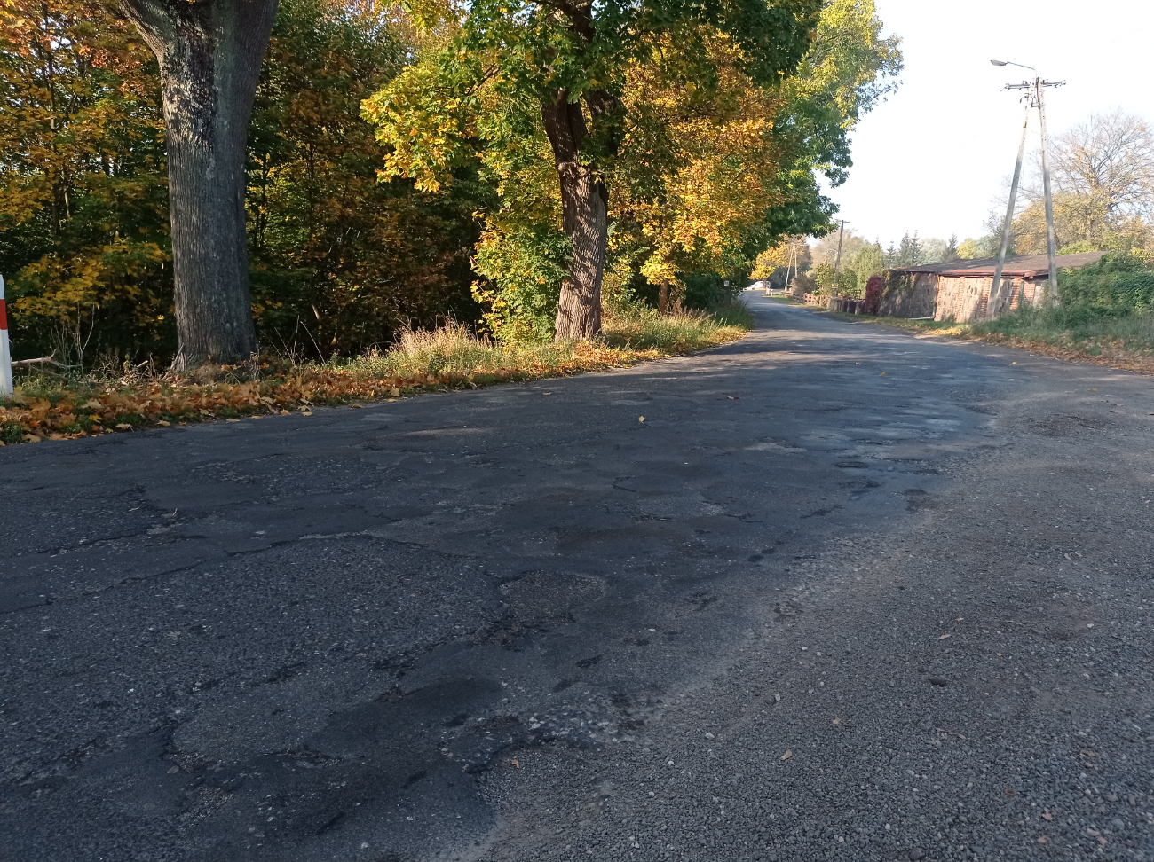 Walczy o drogę i chodnik w Słowikowie