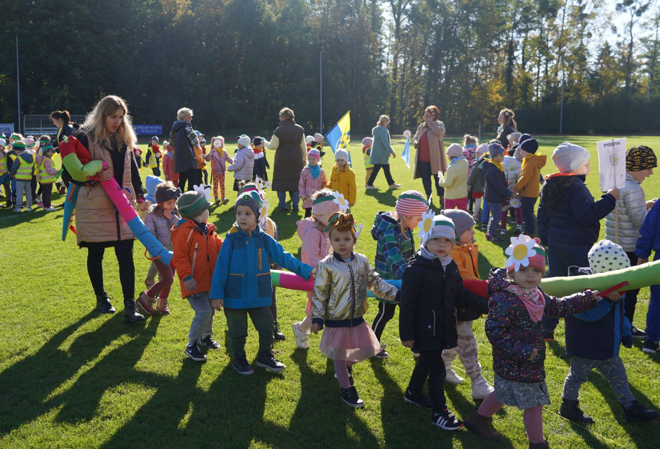 Takiego wykonania Stokrotki jeszcze nie słyszałeś. Posłuchaj