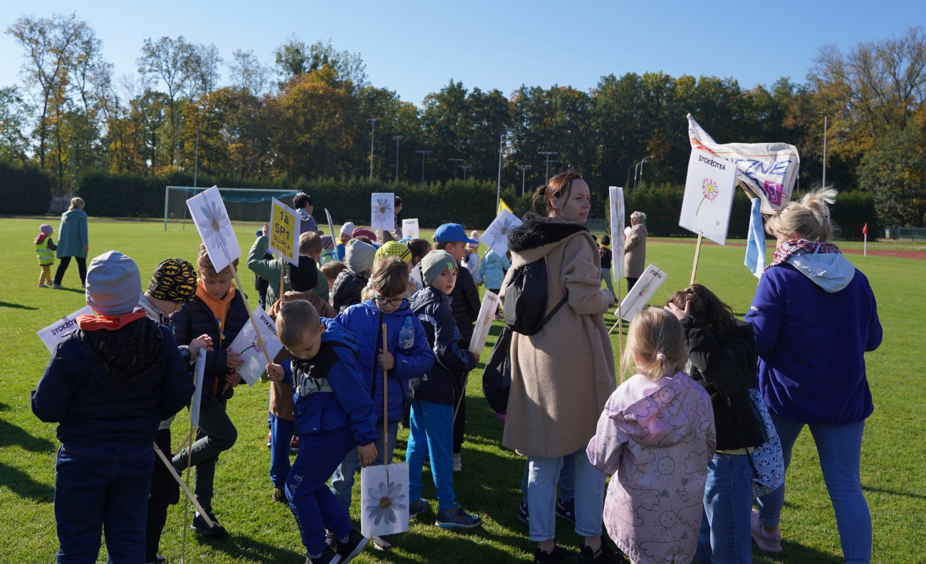 Takiego wykonania Stokrotki jeszcze nie słyszałeś. Posłuchaj