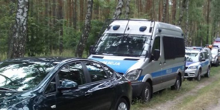 Grzybiarz zaginął w lesie. Wezwano służby