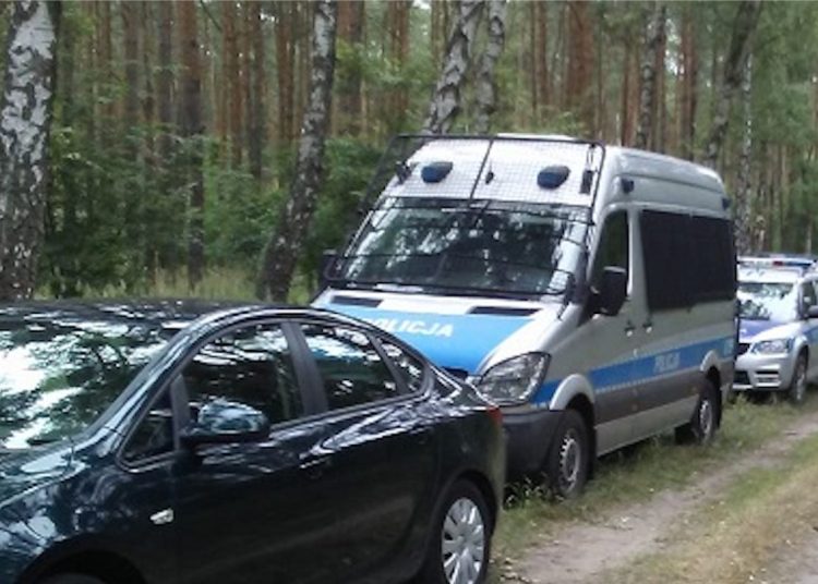 Grzybiarz zaginął w lesie. Wezwano służby