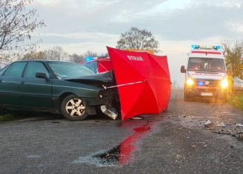 Kto zawinił? Znamy ustalenia policji