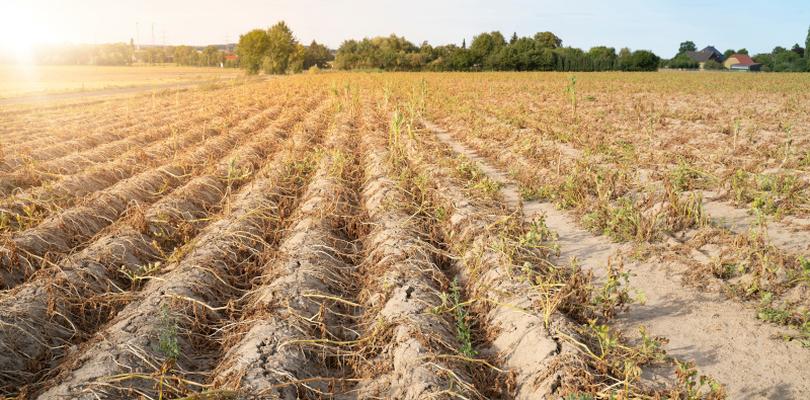 Sygnalizacja świetlna w Ratyniu i Ciążeniu