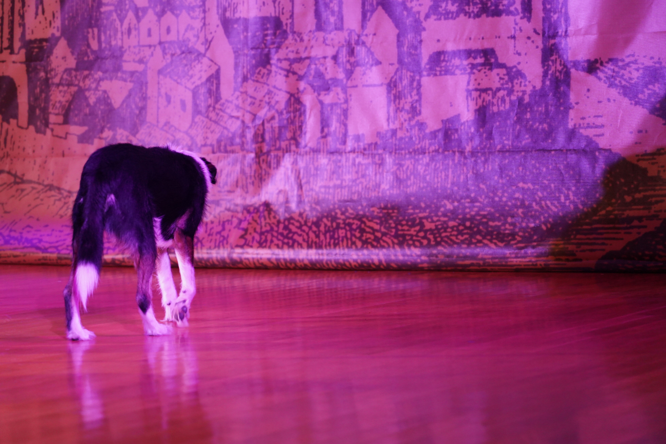 Sala koncertowa Szkoły Muzycznej wypełniła się po brzegi