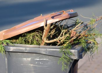 Zajrzą do Twojego kosza na śmieci