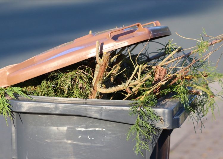 Zajrzą do Twojego kosza na śmieci