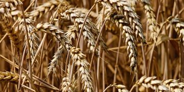 Ubiegasz się o pomoc klęskową? Jest zmiana przepisów