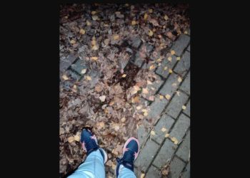 Nie dość, że dziury to jeszcze zakryte liśćmi