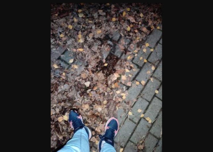 Nie dość, że dziury to jeszcze zakryte liśćmi