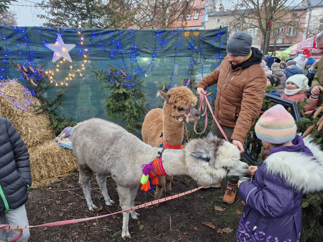 Słupecki Jarmark Świąteczny za nami. Zobacz zdjęcia
