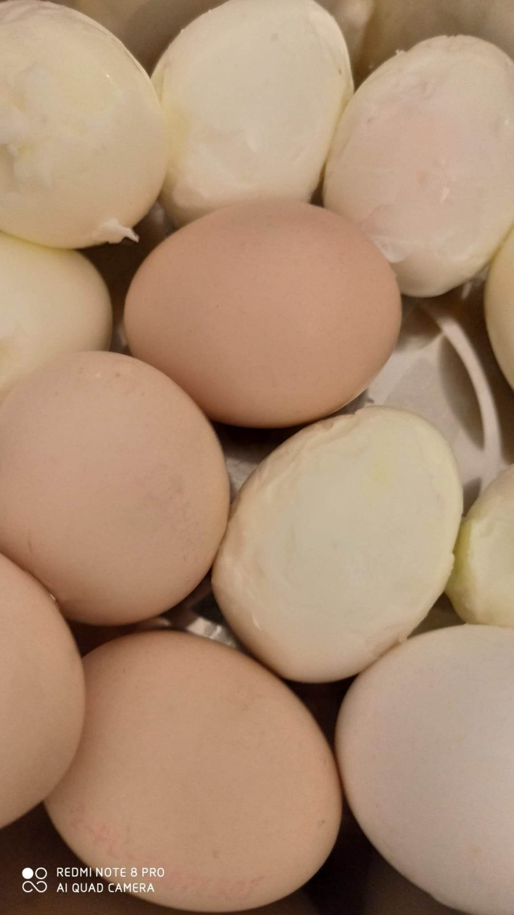 Lądek: Warsztaty z niemarnowania żywności. Odsłona czwarta „Przystawki z odzysku”