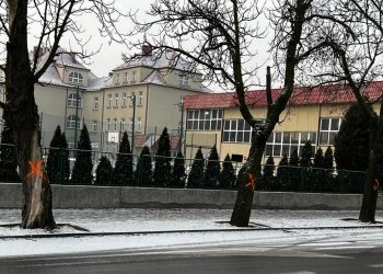 Nie chcieli „betonozy” w mieście. Kasztanowce zostają