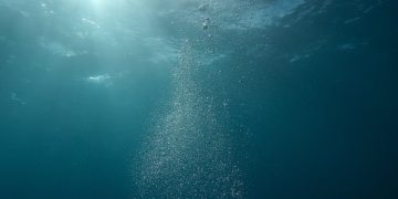 Łowienie a poszukiwanie magnesem pod wodą – czy to to samo?