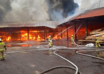 Ogromny pożar tartaku. W akcji nasi strażacy