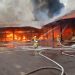 Ogromny pożar tartaku. W akcji nasi strażacy