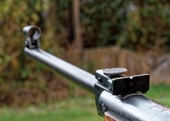 Kto strzela do zwierząt? Pies miał 8 śrutów w ciele