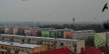 „Obrazy jak z filmu Hitchcock’a”. Ptaki opanowały Słupcę