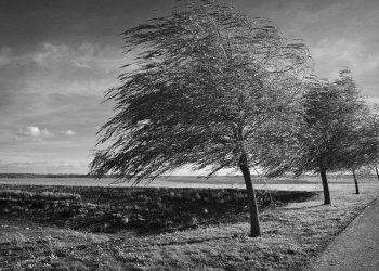 Będzie wietrznie. IMGW ostrzega