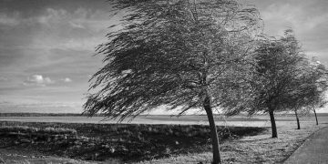 Będzie wietrznie. IMGW ostrzega