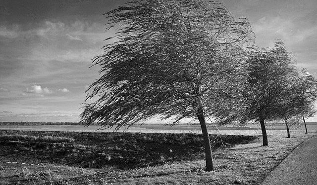 Będzie wietrznie. IMGW ostrzega