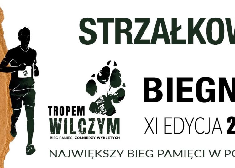 Strzałkowo biega Tropem Wilczym