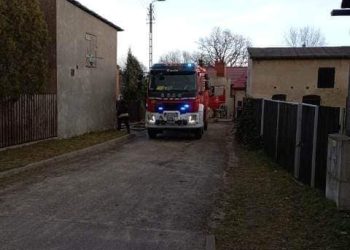 Paliło się poddasze. Kilka zastępów straży w akcji