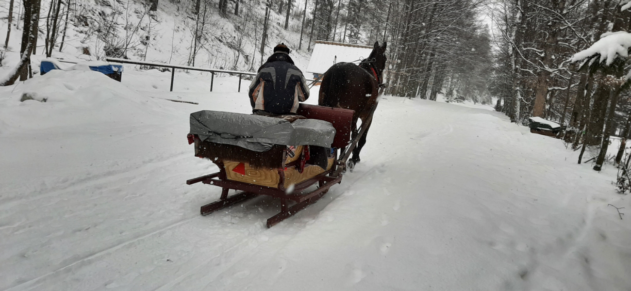 Miłość w Zakopanem. Zobacz zdjęcia