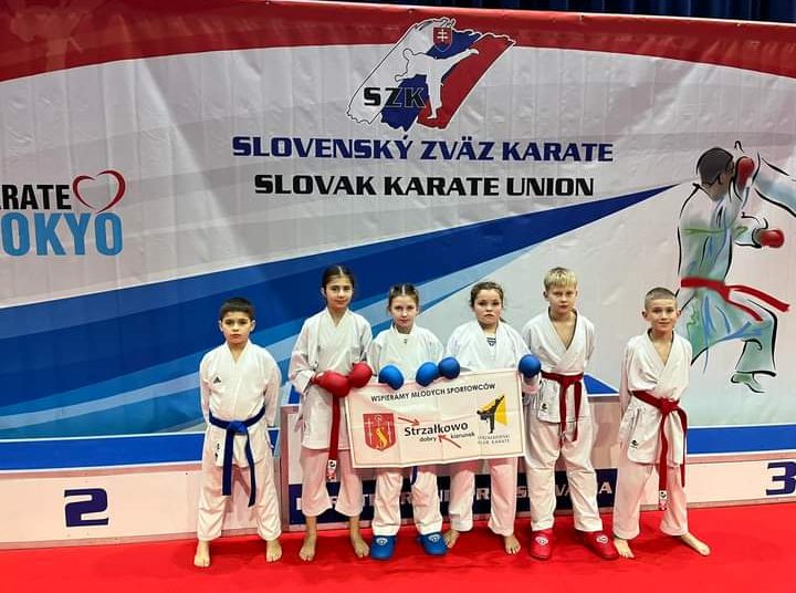 Zbierają międzynarodowe doświadczenia