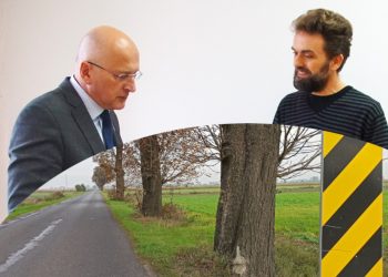 Złożyli petycję ws. drzew. Wycinka i tak będzie