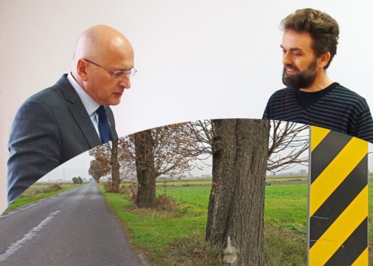 Złożyli petycję ws. drzew. Wycinka i tak będzie