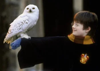 Osowiały tydzień w OEP. W programie spotkanie z Hedwigą!