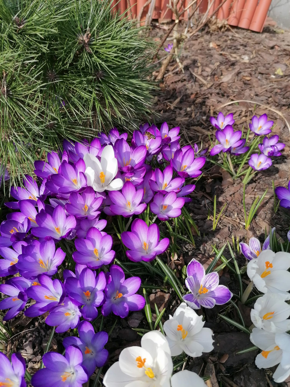 Wiosna w regionie. Tak widzą ją mieszkańcy