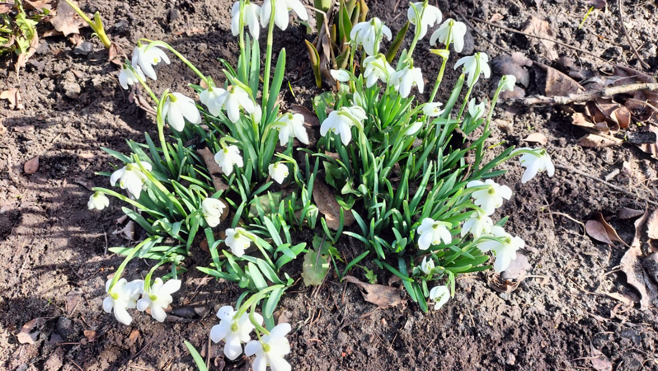 Wiosna w regionie. Tak widzą ją mieszkańcy