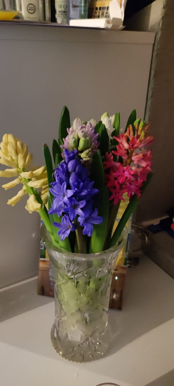 Wiosna w regionie. Tak widzą ją mieszkańcy