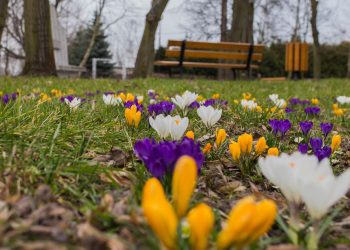 Wiosna w regionie. Tak widzą ją mieszkańcy