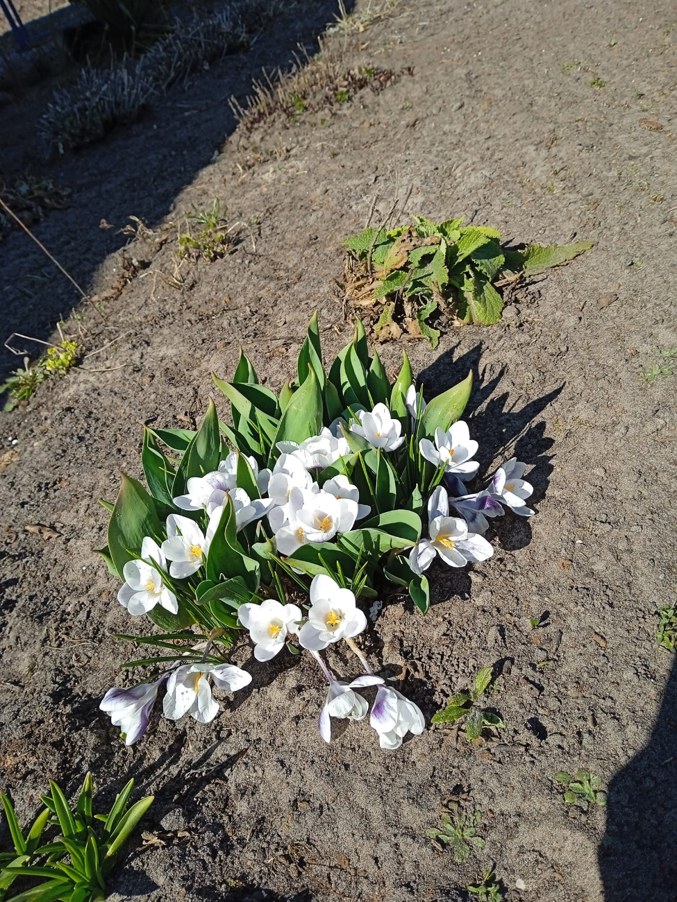 Wiosna w regionie. Tak widzą ją mieszkańcy