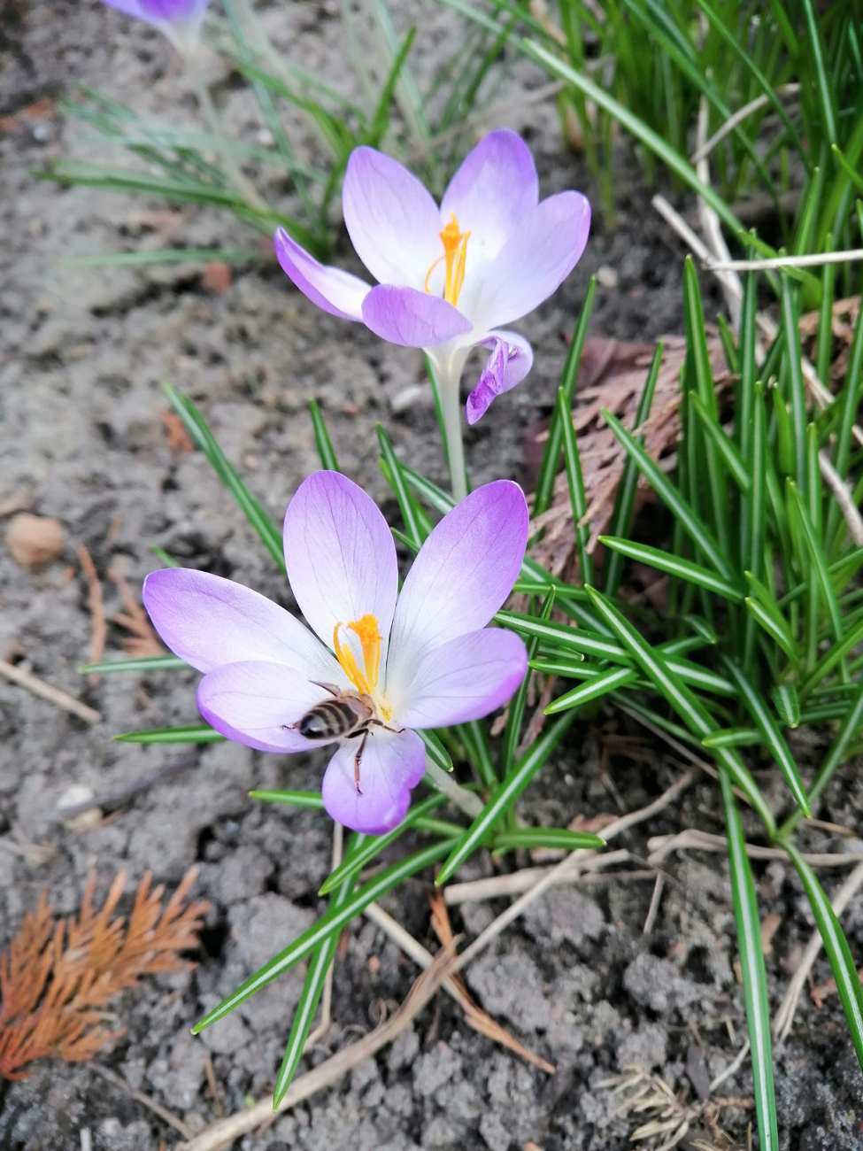 Wiosna w regionie. Tak widzą ją mieszkańcy
