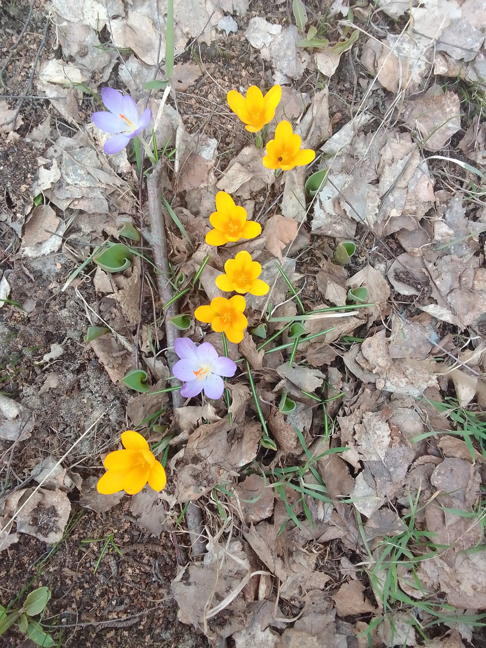 Wiosna w regionie. Tak widzą ją mieszkańcy