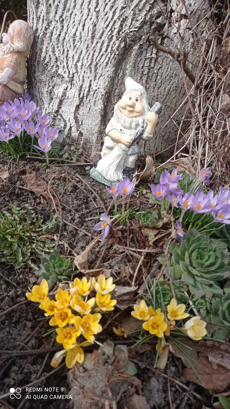 Wiosna w regionie. Tak widzą ją mieszkańcy