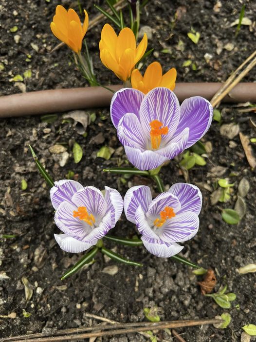 Wiosna w regionie. Tak widzą ją mieszkańcy