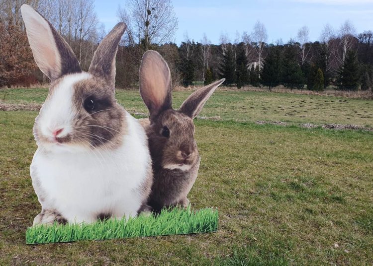 Wielkanoc zawitała do Słupcy