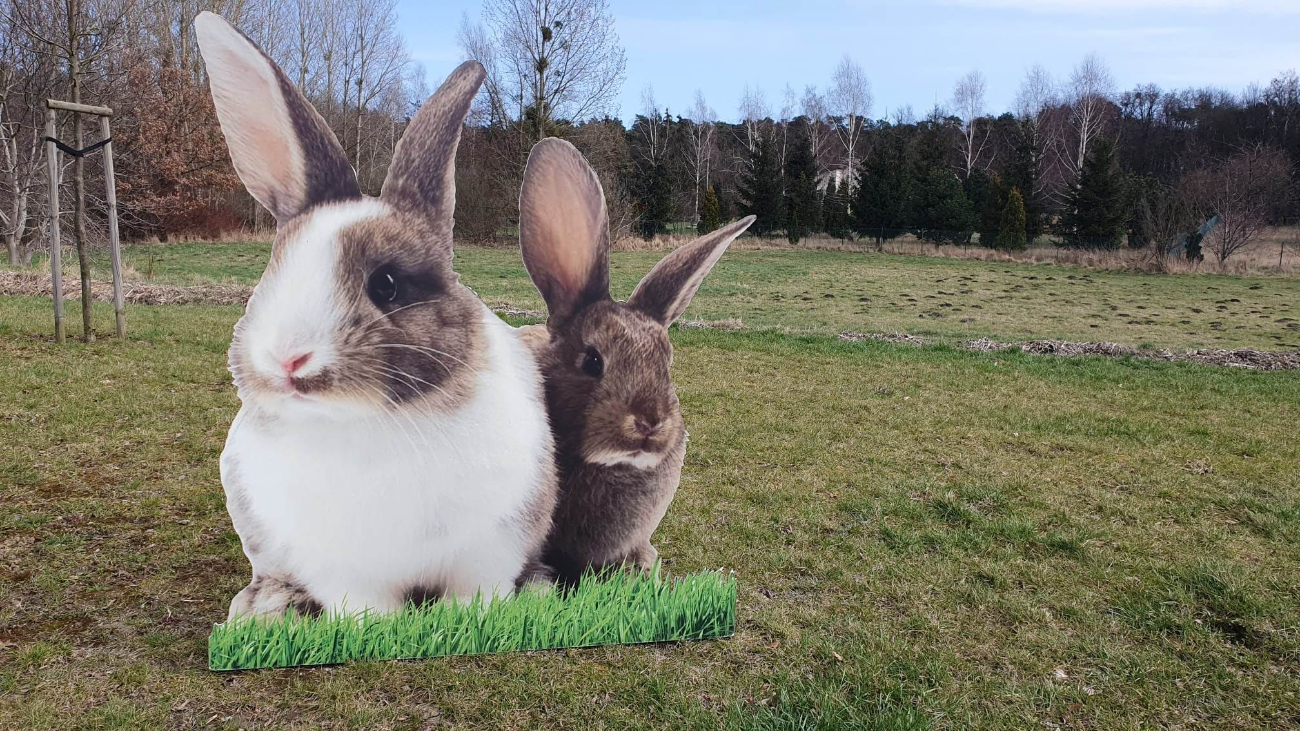 Wielkanoc zawitała do Słupcy
