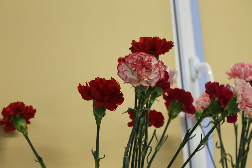 „Cieszyliśmy się swoim towarzystwem”